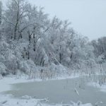 Зимівля – відповідальна пора у житті риб