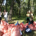 Кияни прибрали сотні кілограмів сміття у київських парках