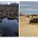 Екостежка “Журавлинна”. Міжріченський регіональний ландшафтний парк