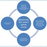 Для захисту диких птахів мають бути створені спеціальні природоохоронні території