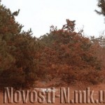 На Миколаєвщині ліквідовують розпилення червоного шламу